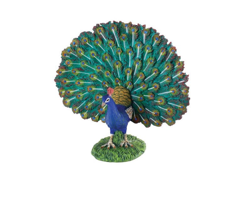 CollectA Lge Peacock