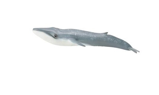 CollectA Blue Whale XL