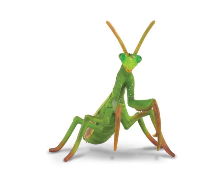 CollectA Lge Praying Mantis