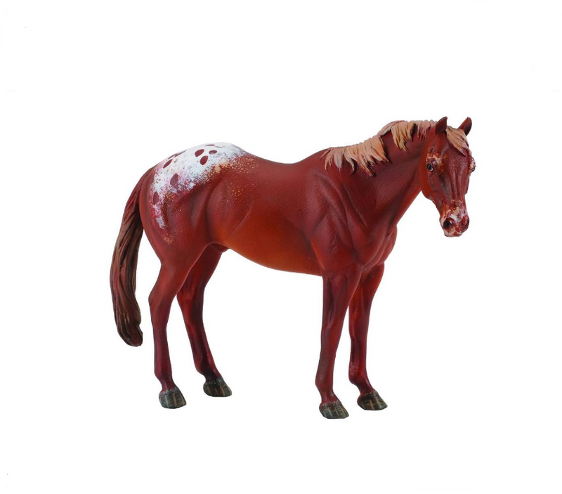 CollectA Xl Chestnut Appaloosa Stallion