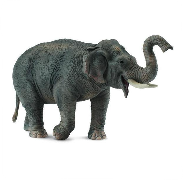 CollectA Xl Asian Elephant