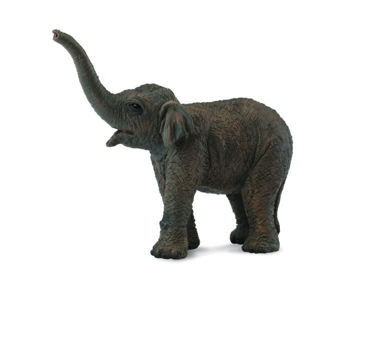 CollectA  Asian Elephant Calf Small