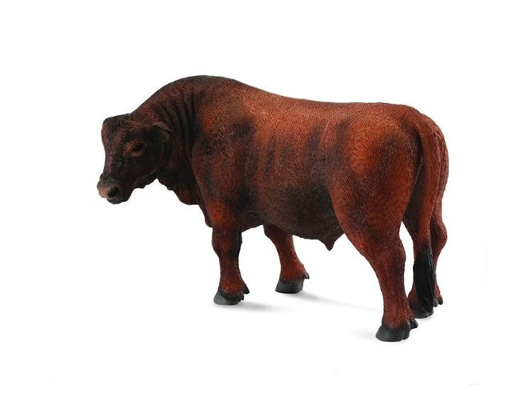 Red Angus Bull Large