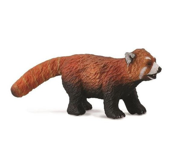 Red Panda Medium