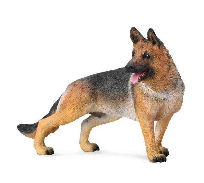 German Shepherd Large