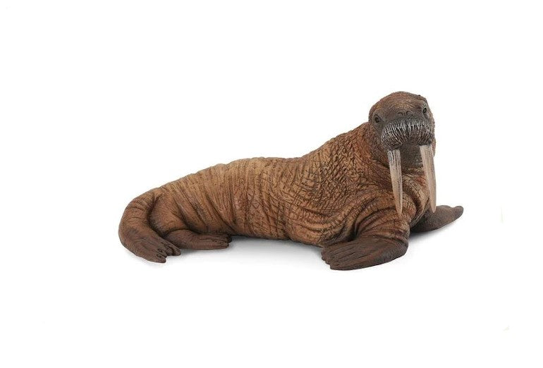 CollectA Walrus Large