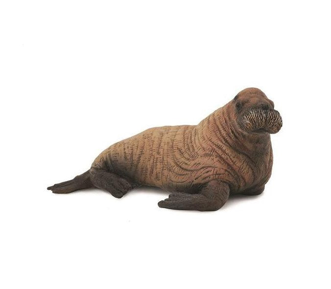 CollectA Walrus Calf Medium