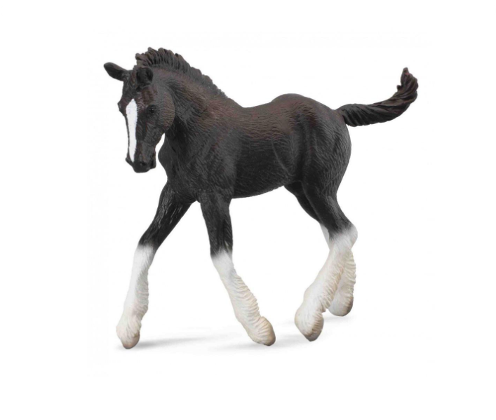 Medium Shire Horse Foal Black