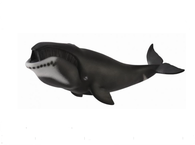 CollectA Xl Bowhead Whale