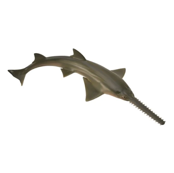 CollectA Medium Sawfish