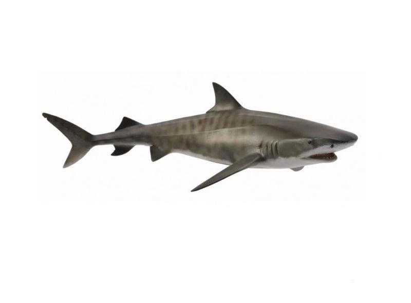 CollectA Lge Tiger Shark