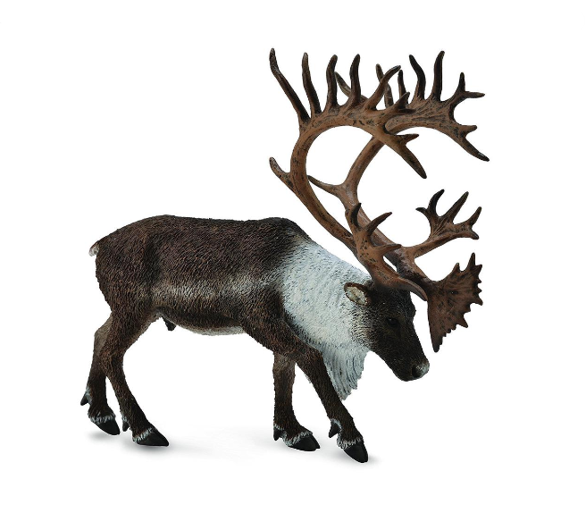 CollectA Xl Woodland Caribou