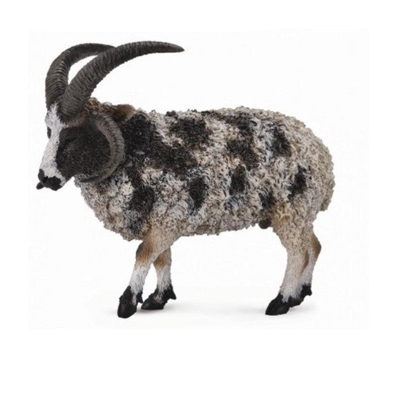 CollectA Lge Jacob Sheep