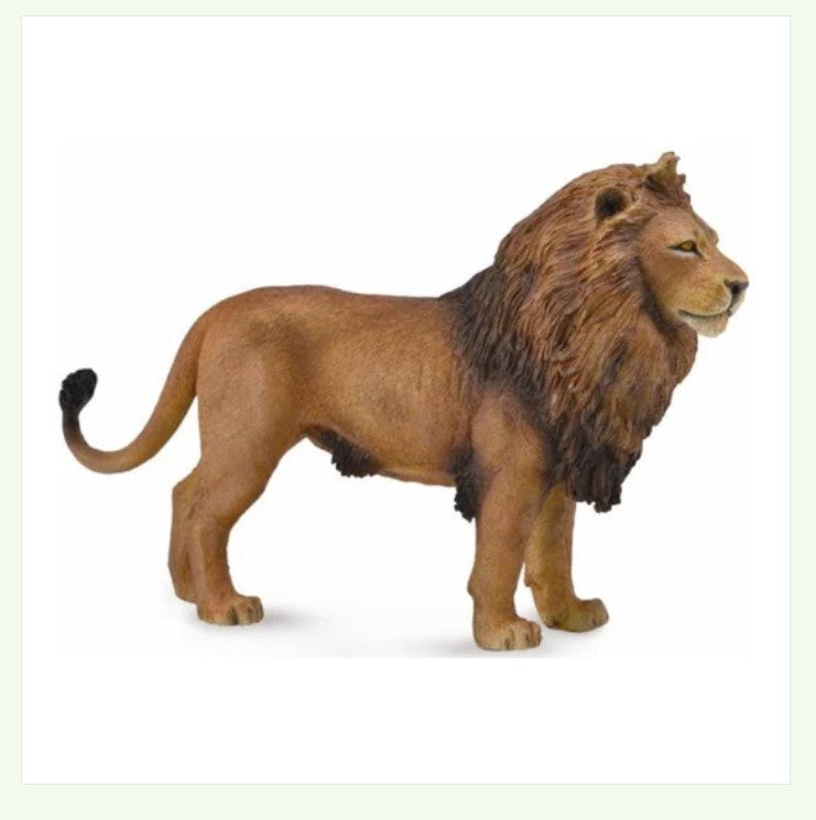 CollectA Lge African Lion