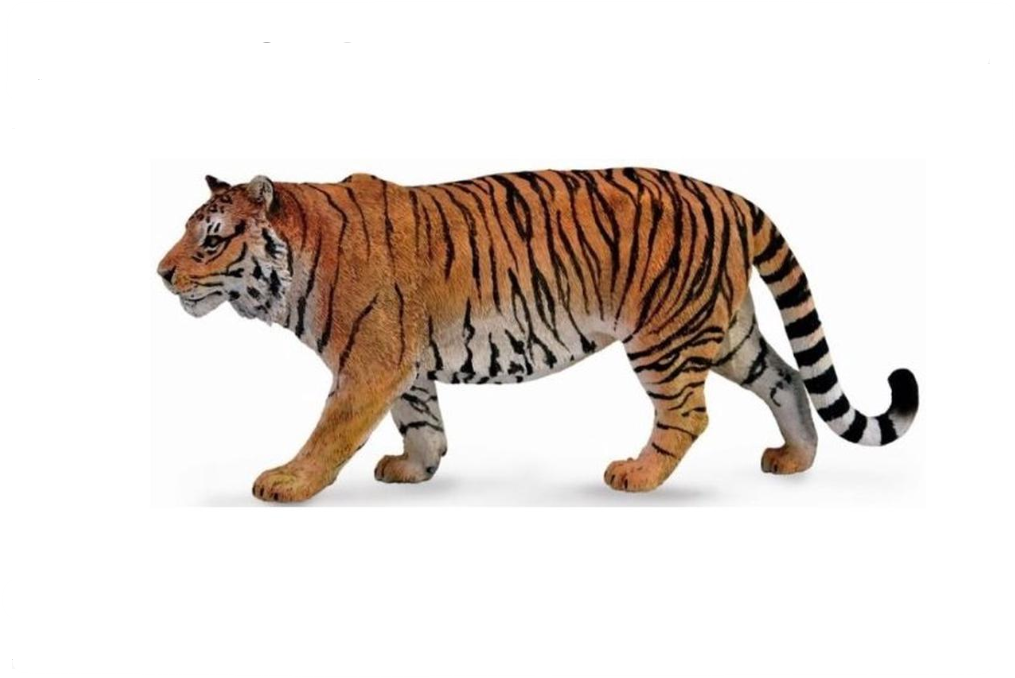 CollectA Xl Siberian Tiger