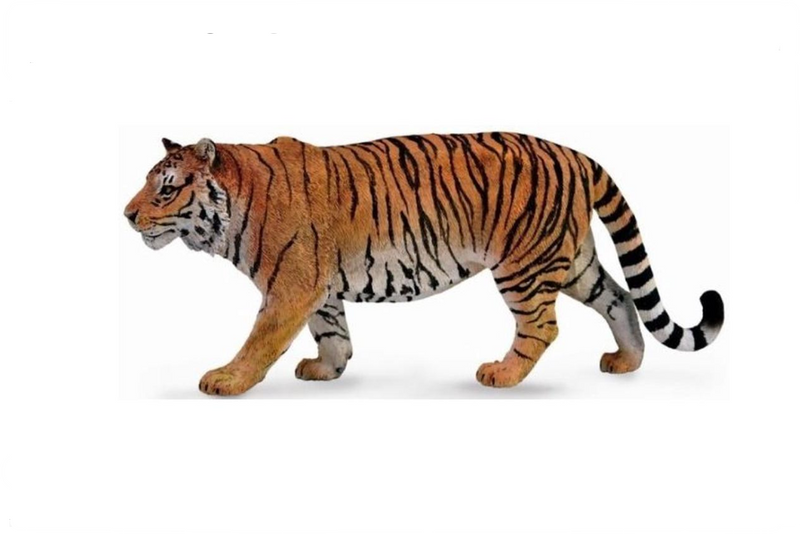 CollectA Xl Siberian Tiger