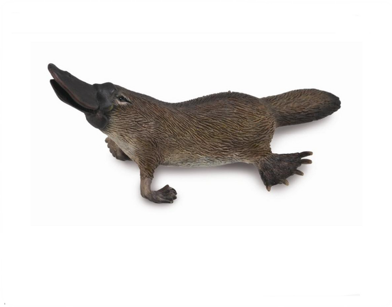 CollectA Medium Platypus