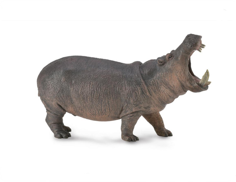 CollectA Xl Hippopotamus