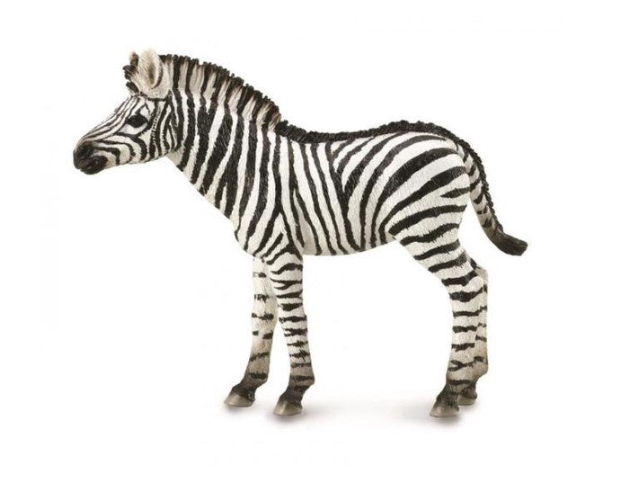 CollectA Zebra Foal Medium