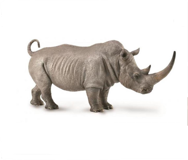 CollectA Xl White Rhinoceros