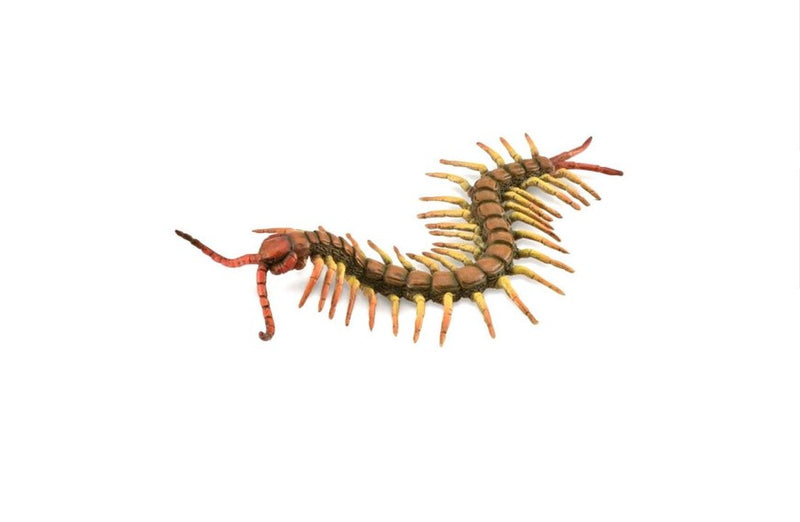 CollectA Lge Centipede