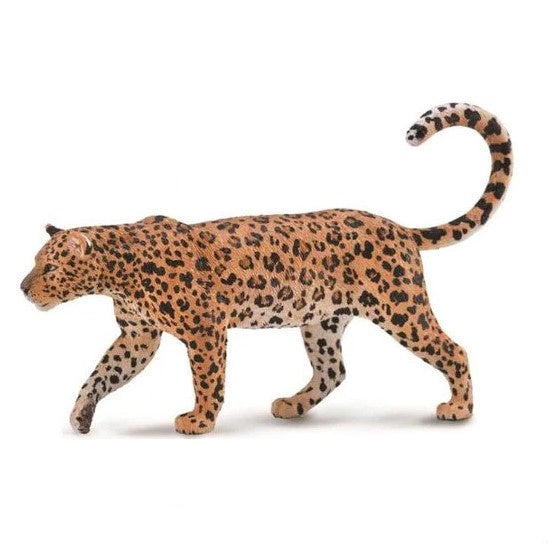 African Leopard XL