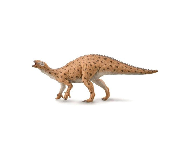 CollectA Medium Fukuisaurus