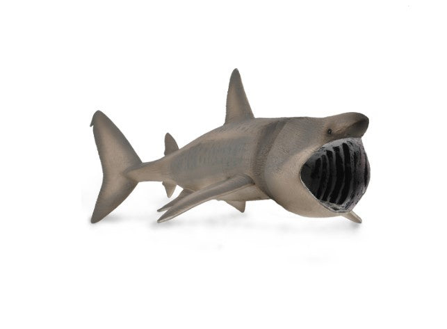 CollectA Basking Shark XL