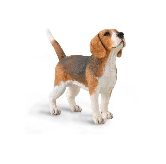 CollectA Medium Beagle