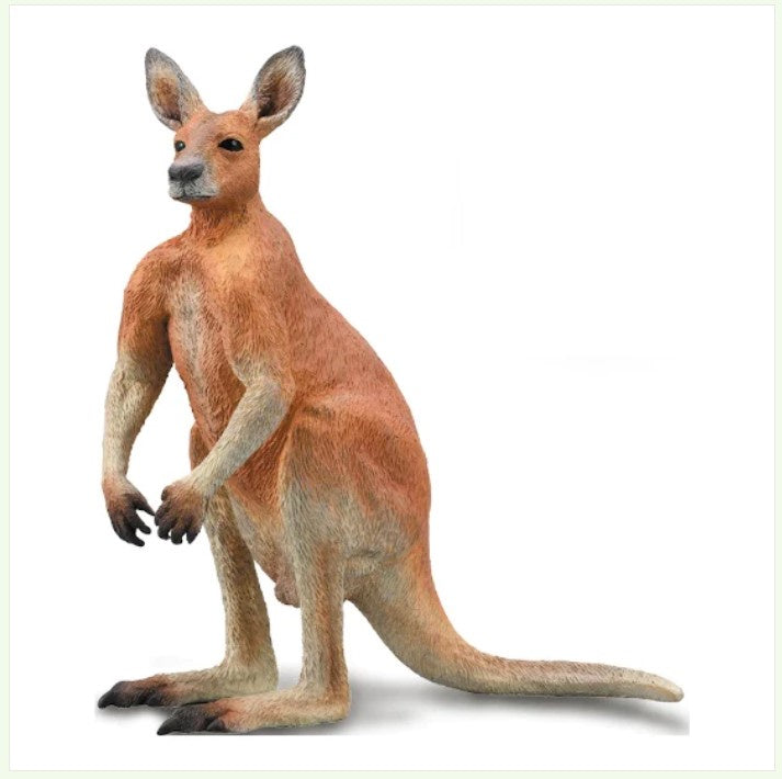 CollectA Lge Red Kangaroo