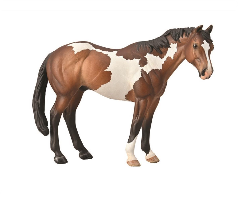 CollectA Xl Appaloosa Stallion Bay Over