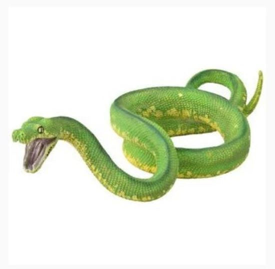 CollectA Lge Green Tree Python