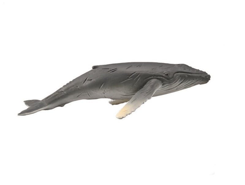 CollectA Medium Humpback Whale Calf