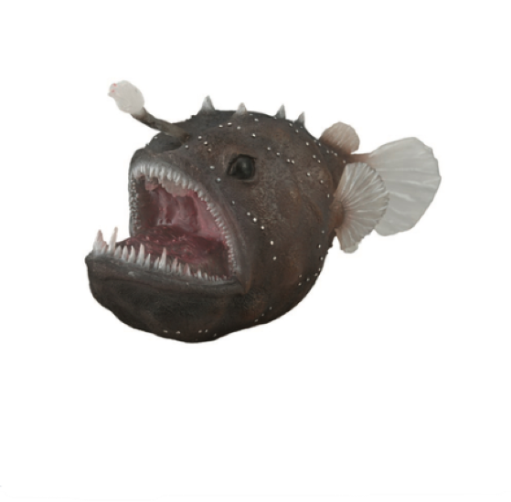 CollectA Xl Anglerfish