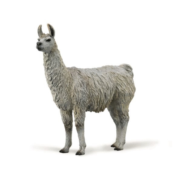 CollectA Llama Medium