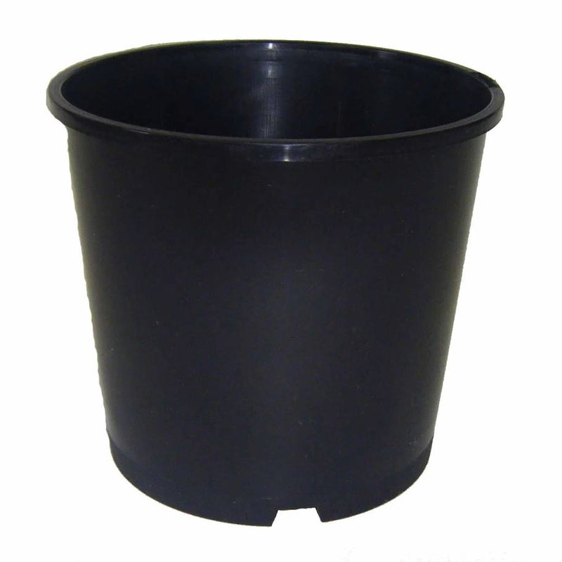 Planter Garden Pot, 2.5 Litre, Black