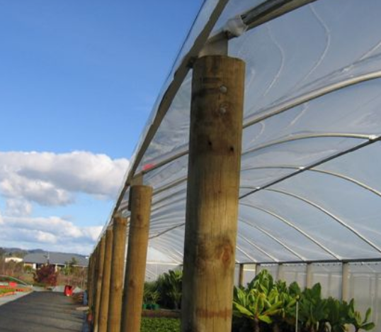 Polygro, Greenhouse Film, 4m wide, UV Treated Per Metre