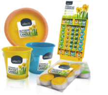 Effects Citronella Assorted in stand