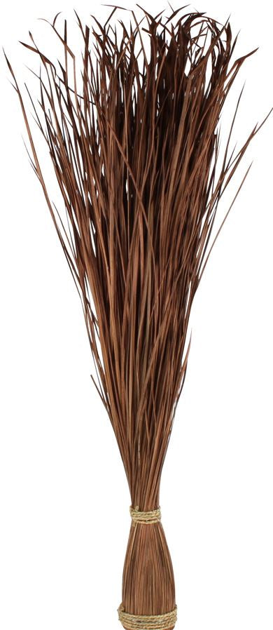 Tall Splayed Reed Grass 106cm Brown