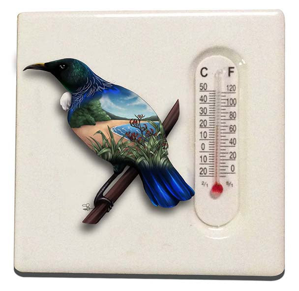 Ceramic Thermometer Magnet NZ Designs - Single