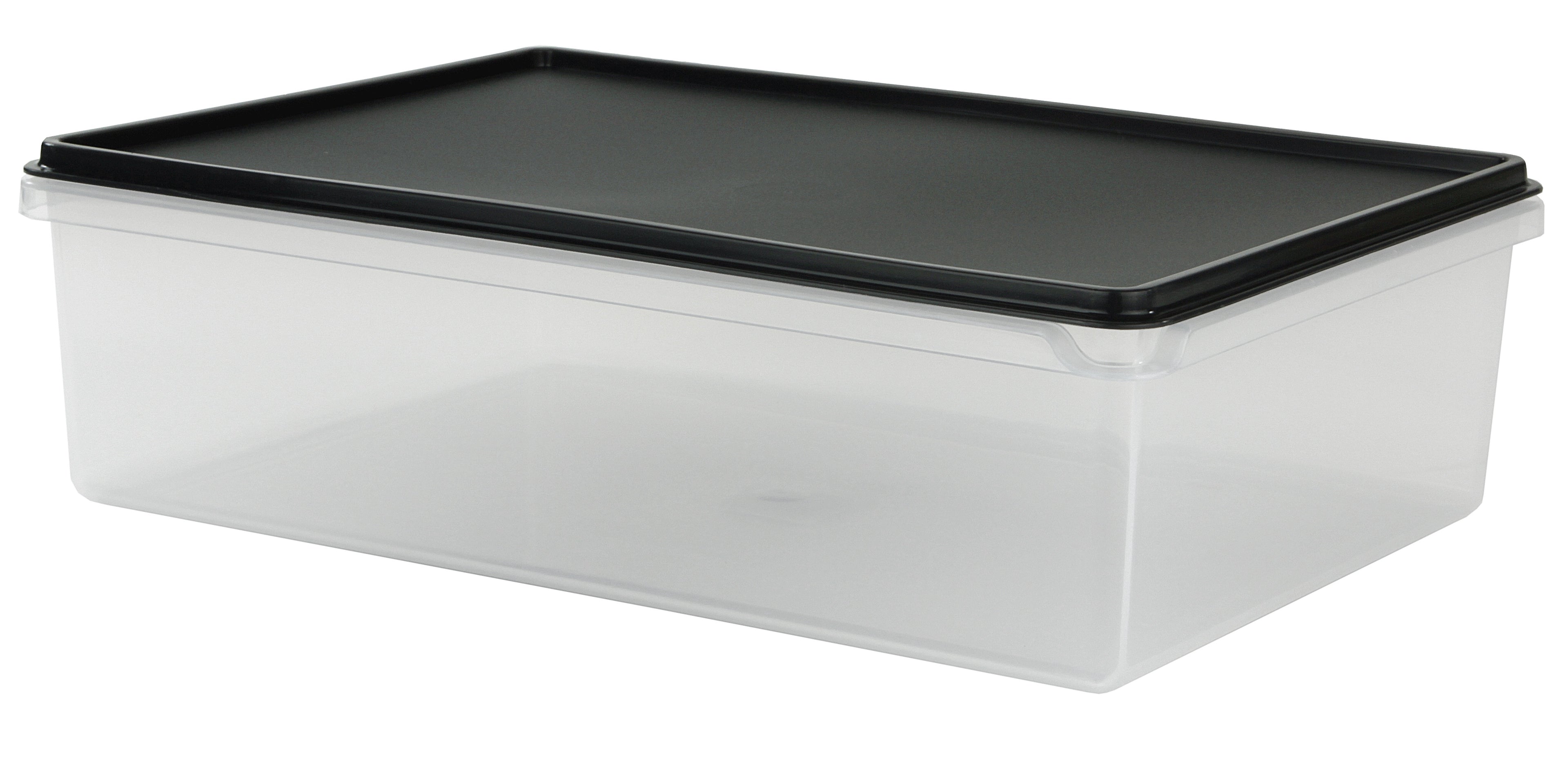 Cuisine Queen Rectangular Food Storer 5L