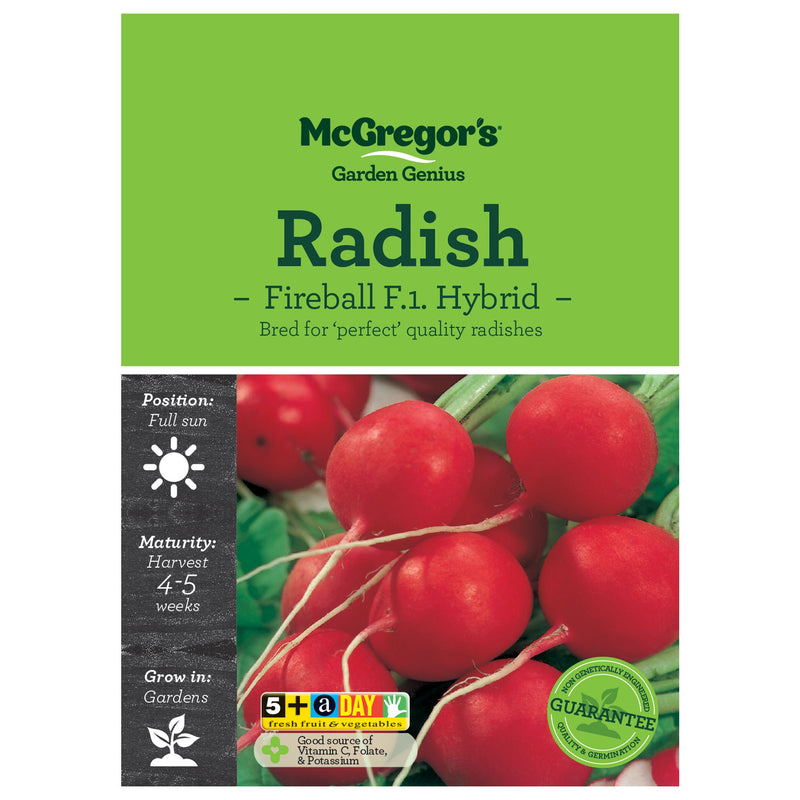 Vegetable Seeds, McGregor&