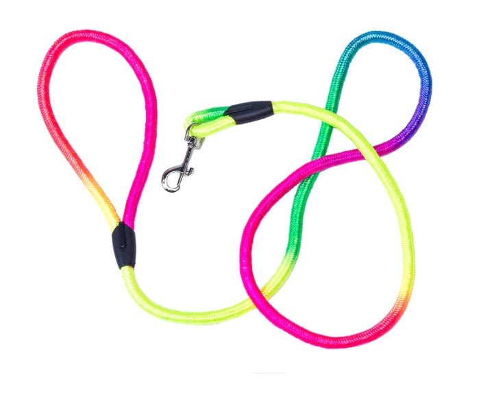 Rainbow Nylon Dog Lead 1.5m