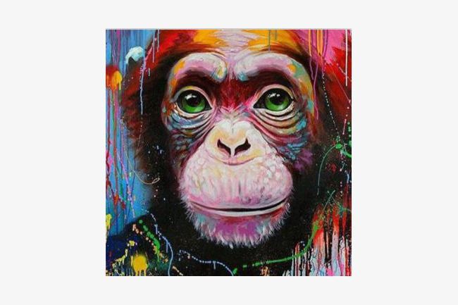 5d Diamond Art Chimp 30x30cm