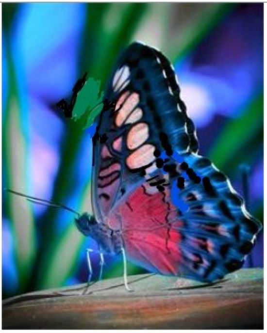 5d Diamond Art Butterfly Bright 30x40cm