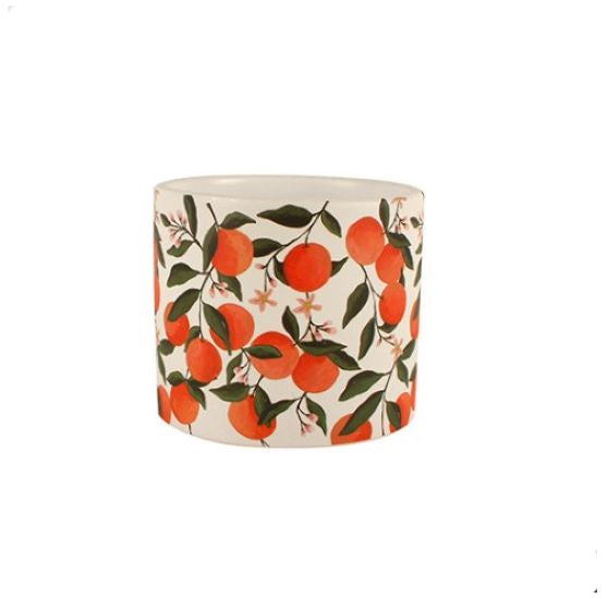 Mandarin Tree Ceramic Plant  Pot