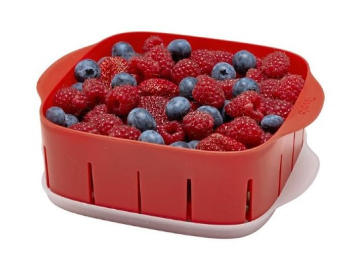 Rinse N Store Berry Colander