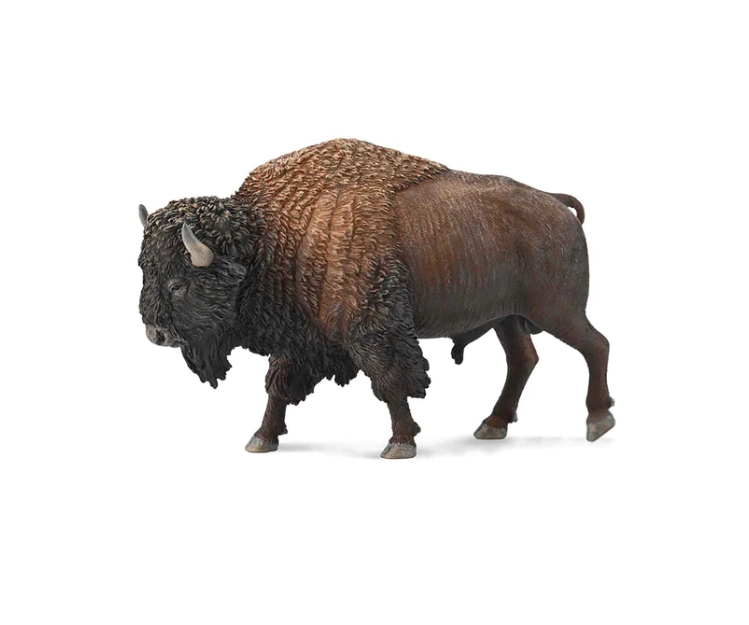 CollectA Xl American Bison