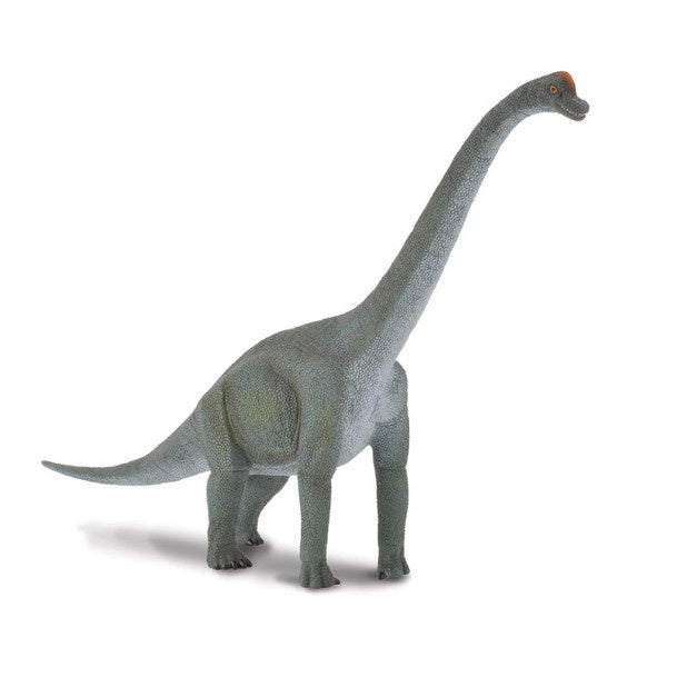 CollectA Lge Brachiosaurus