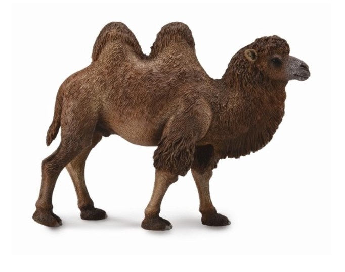 CollectA Lge Bactrian Camel